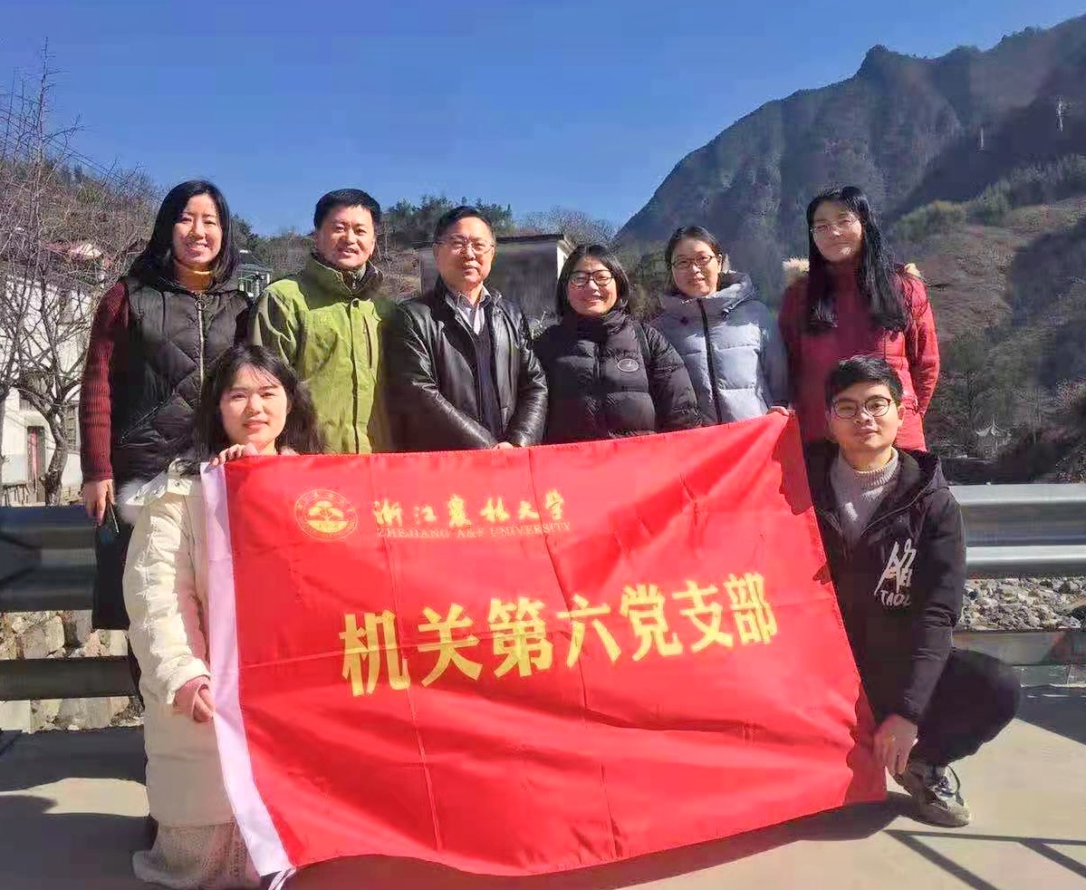 机关第六党支部赴临安马啸乡开展健康徒步主题党日活动
